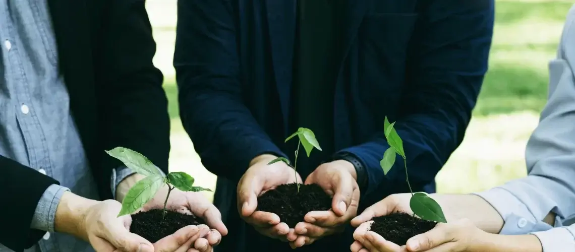 Case FIDENS – Premiada em 2° lugar no prêmio Consciência Ambiental Immensità 